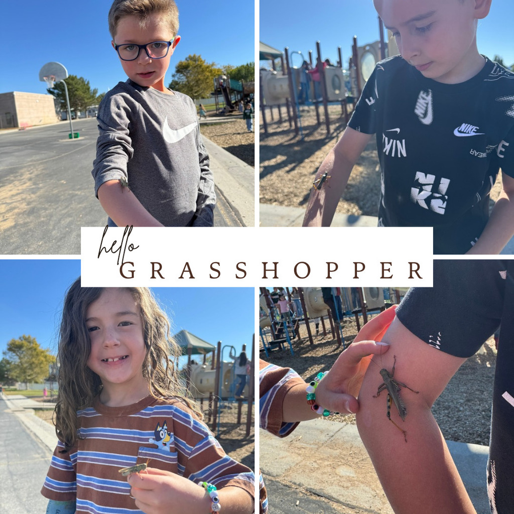 Students holding a grasshopper at recess.
