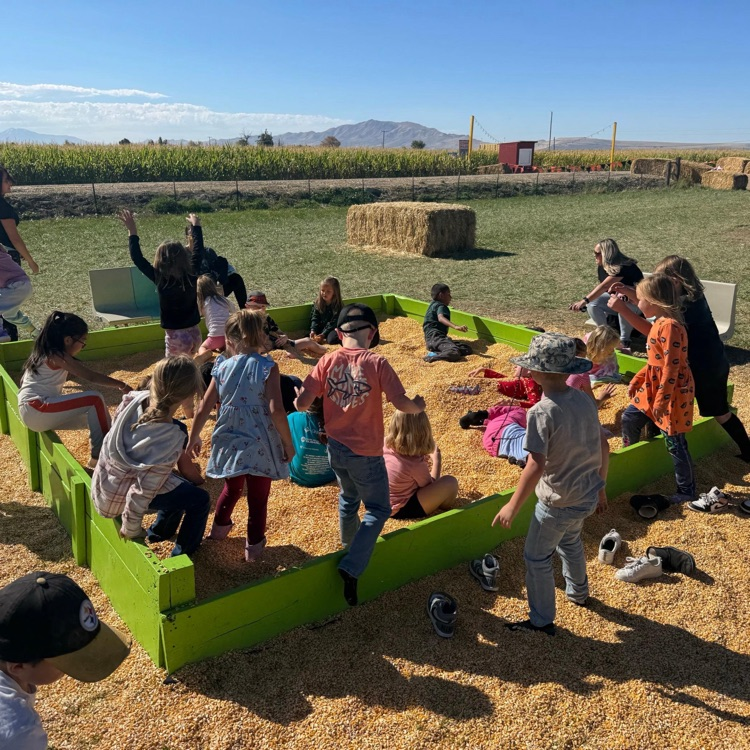 Kids playing in a corn pit!
