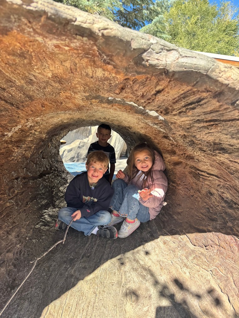 students pictured in a tunnel at the zoo