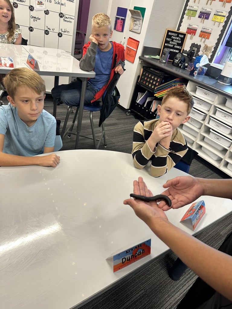 3 boys looking at a millipede