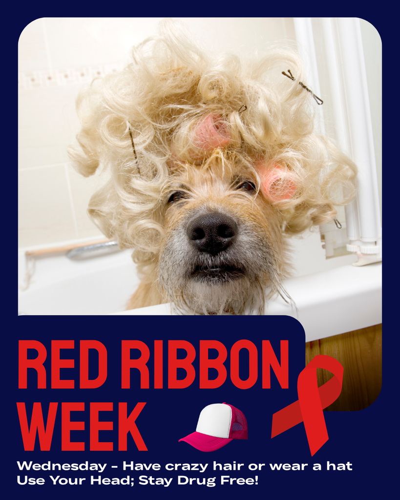 Cute Dog in Bathtub with curlers and bobby pins in it's hair. Text: Red Ribbon Week Wednesday - Have crazy hair or wear a hat. Use your Head; Stay Drug Free!