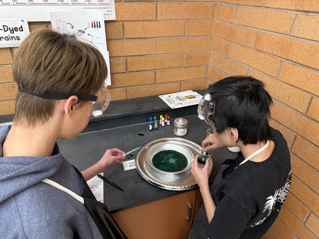 Mrs. Lasater Halloween science lab