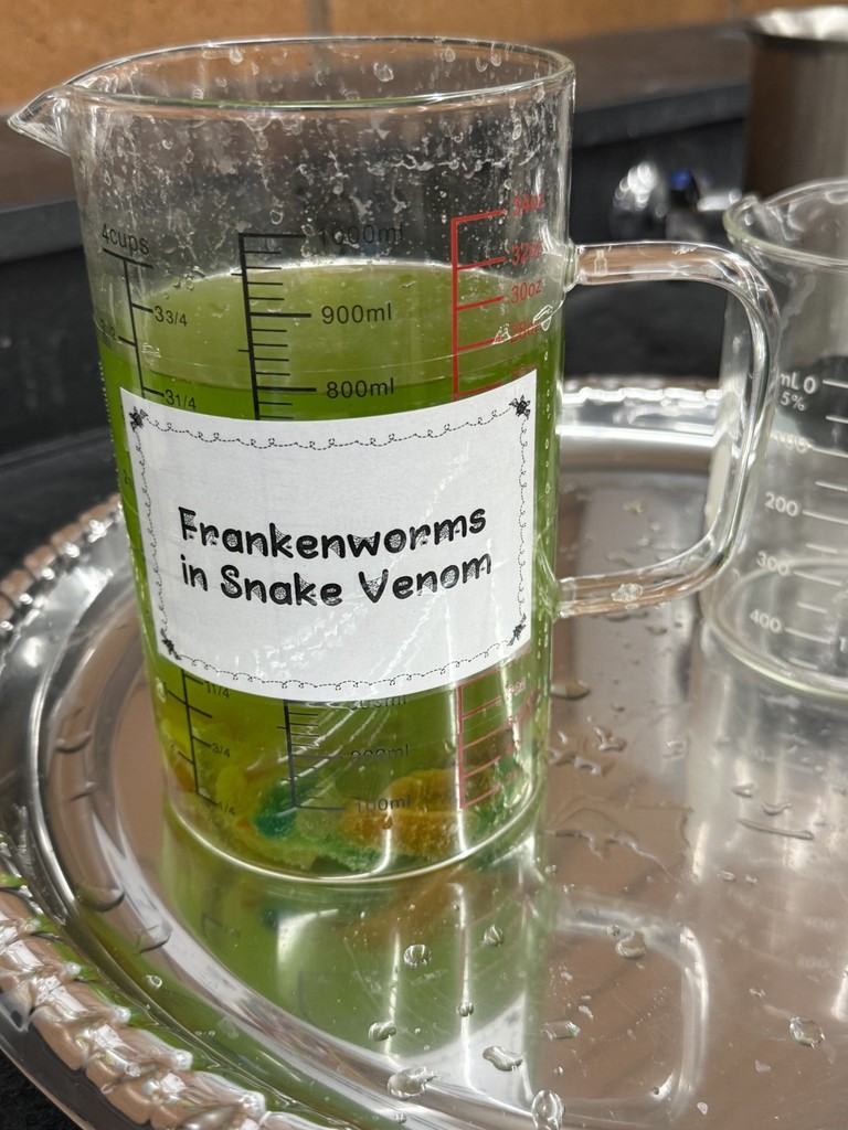 Mrs. Lasater Halloween science lab