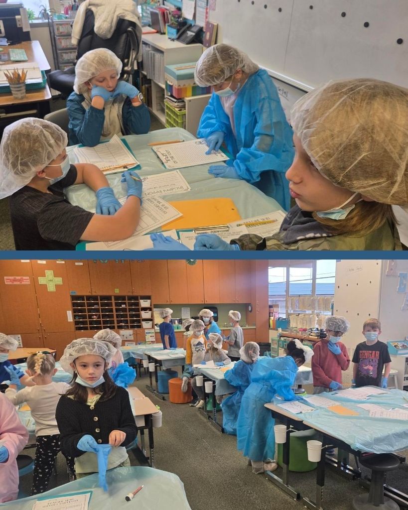 Photo collage of 3rd grade students learning about the human body