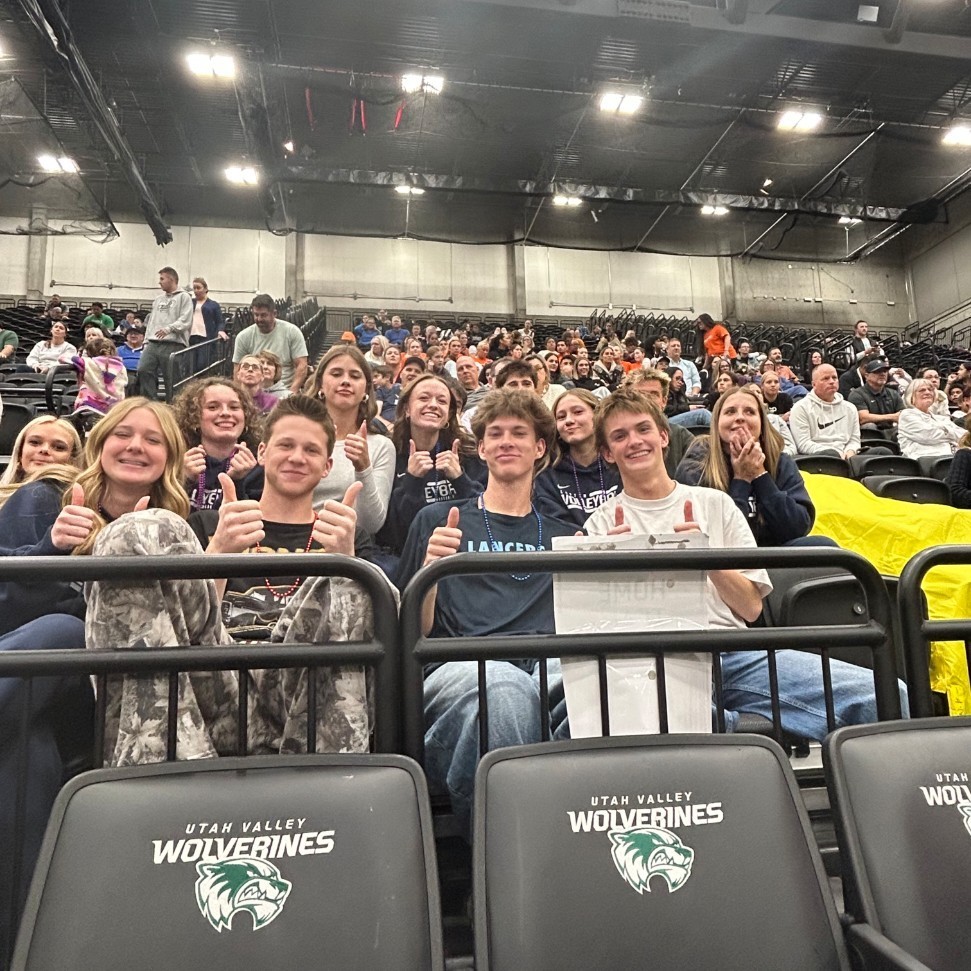 Fans in the stands at the state volleyball tournament