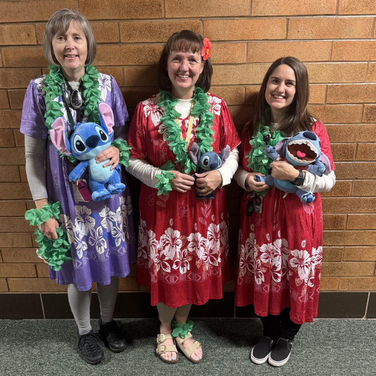 Lilo and Stitch costumes