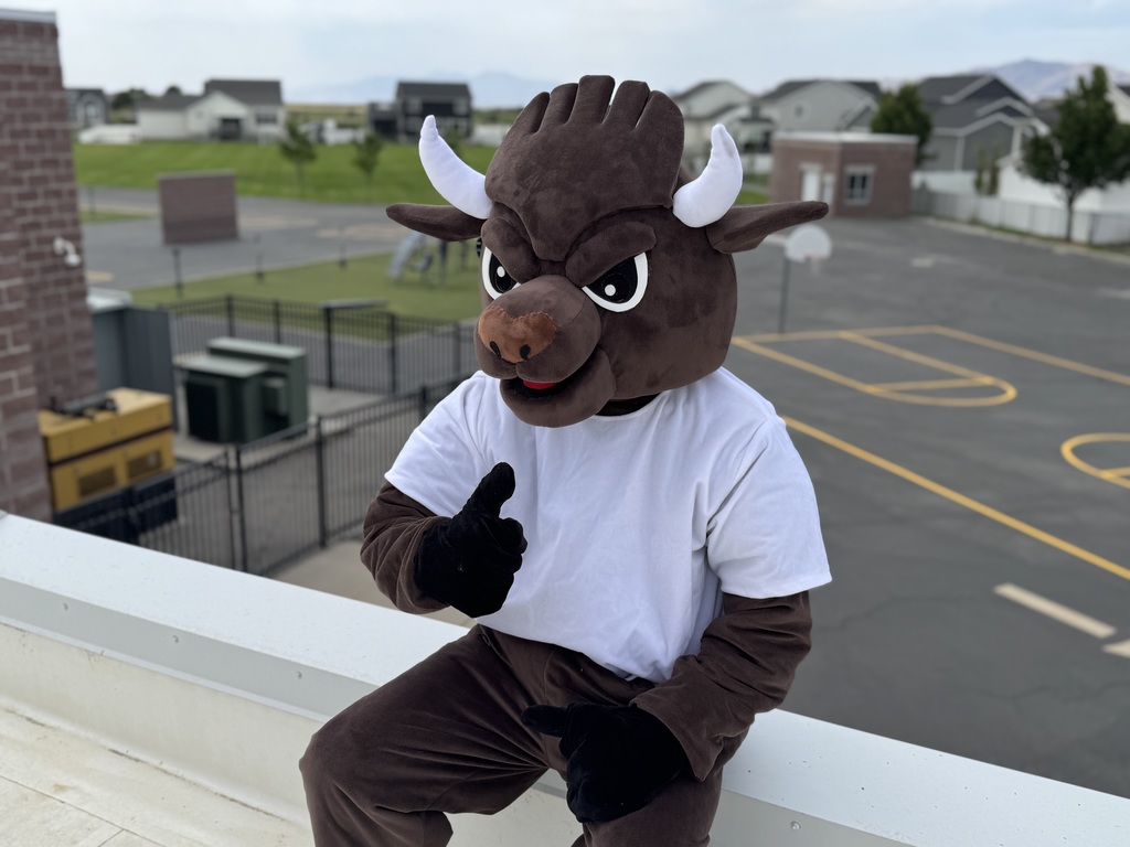 Buffalo on the roof of the school