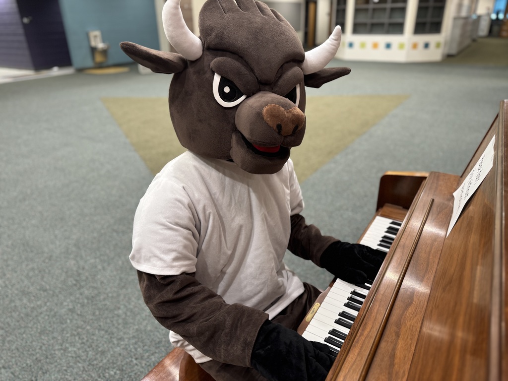Chip the buffalo at the piano