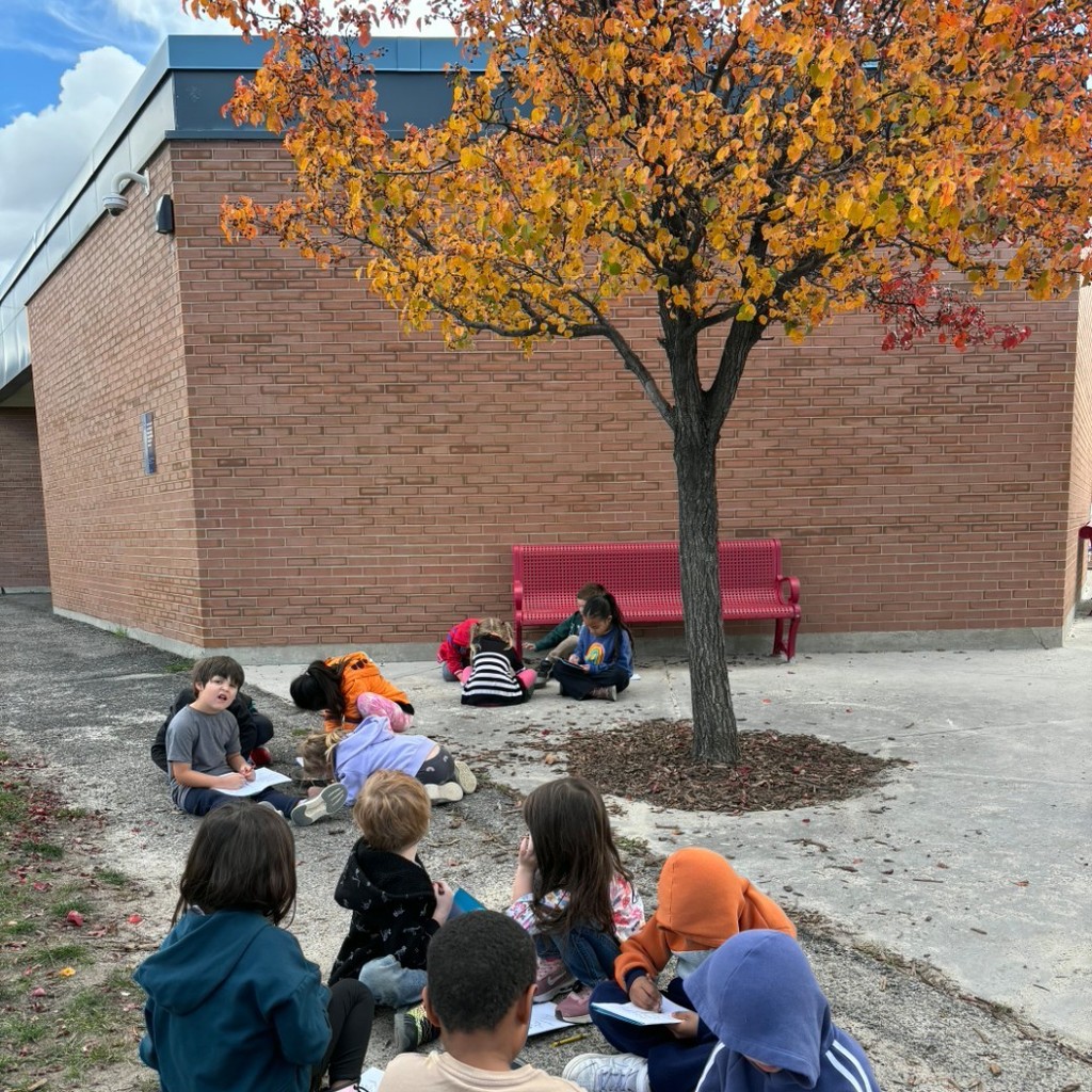 a group of young kindergarten students taking notes on the tree outside, changing with the seasons.