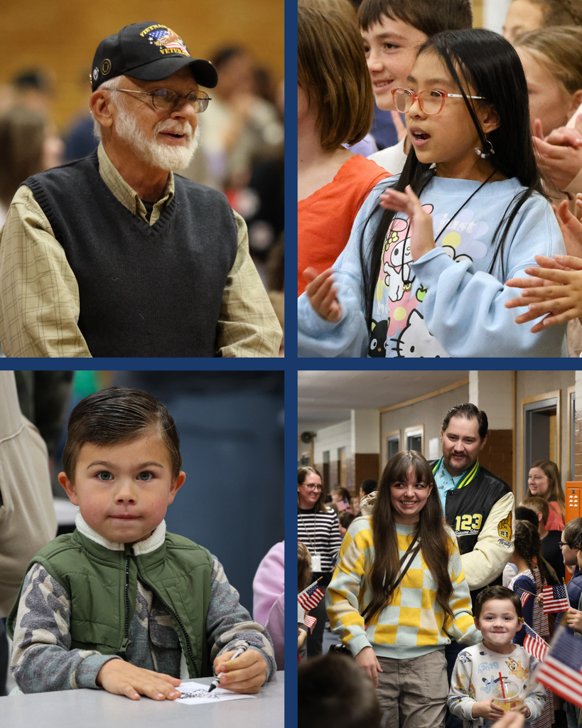 A collage of photos from Veterans Day across Davis School District. 