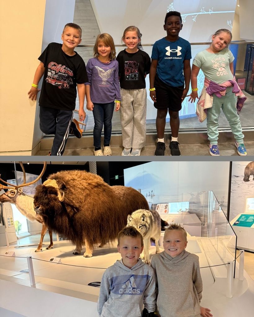 Collage of students exploring exhibits at the Natural History Museum of Utah.