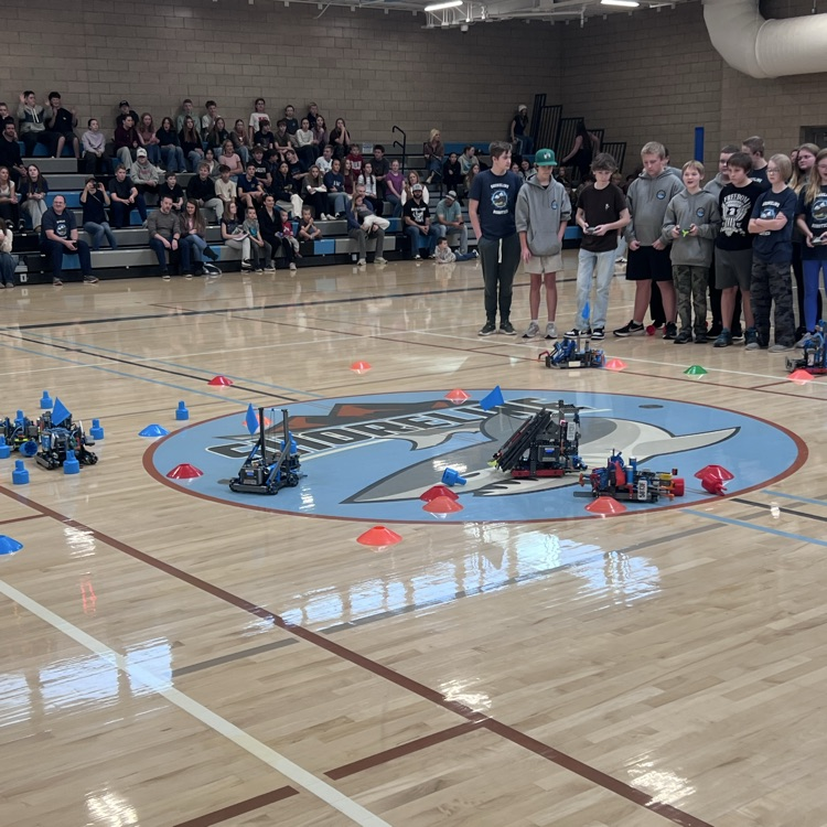 Robots competing in gathering the most cones.
