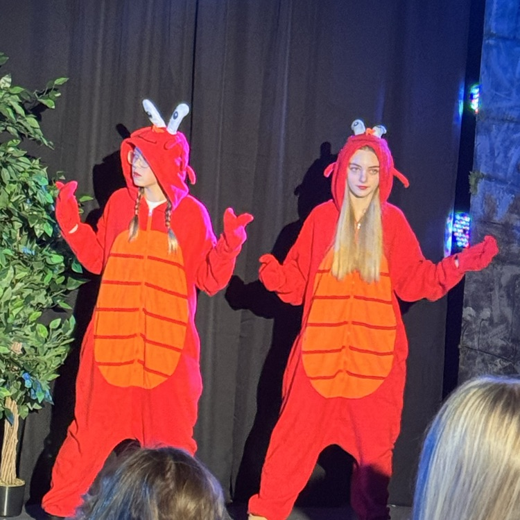 Brother’s Grimm 10