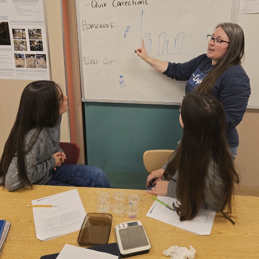 Mrs. Hansen's teaching two students at the white board