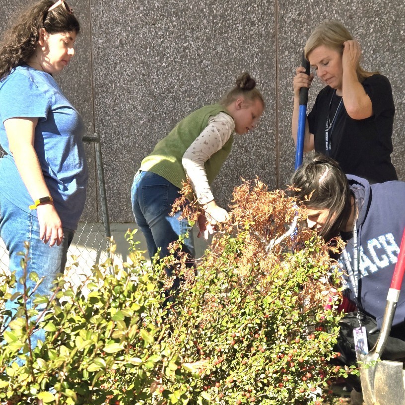 two students and two teachers clearing ground to plant bulbs