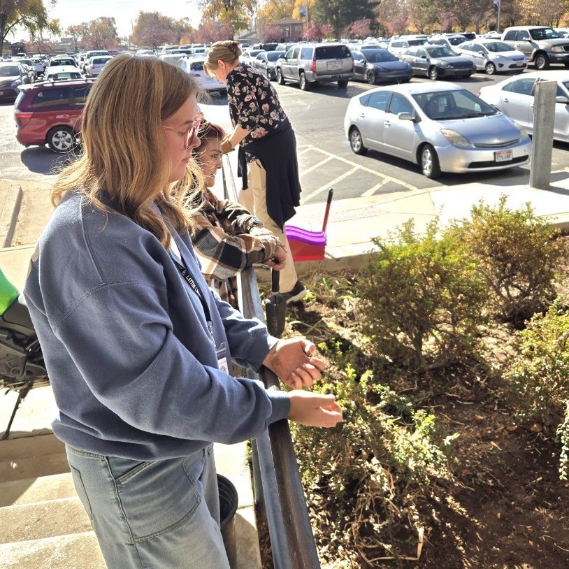students and teachers watching the garden area