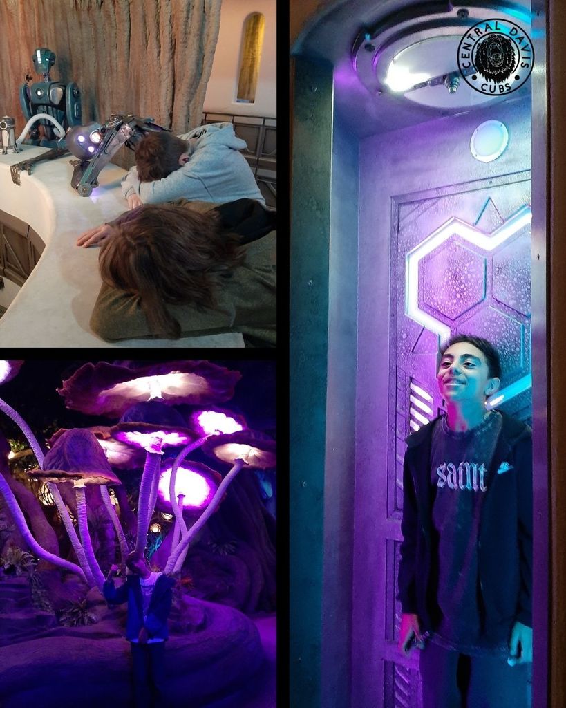 Students at the DreamWalk Park in multiple settings