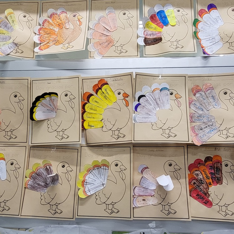 Spanish DLI and Culture Class Spotlight 5