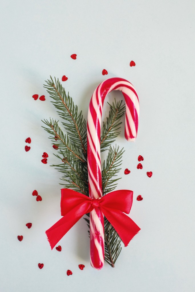 Candy cane wrapped in a bow with a pine stem.