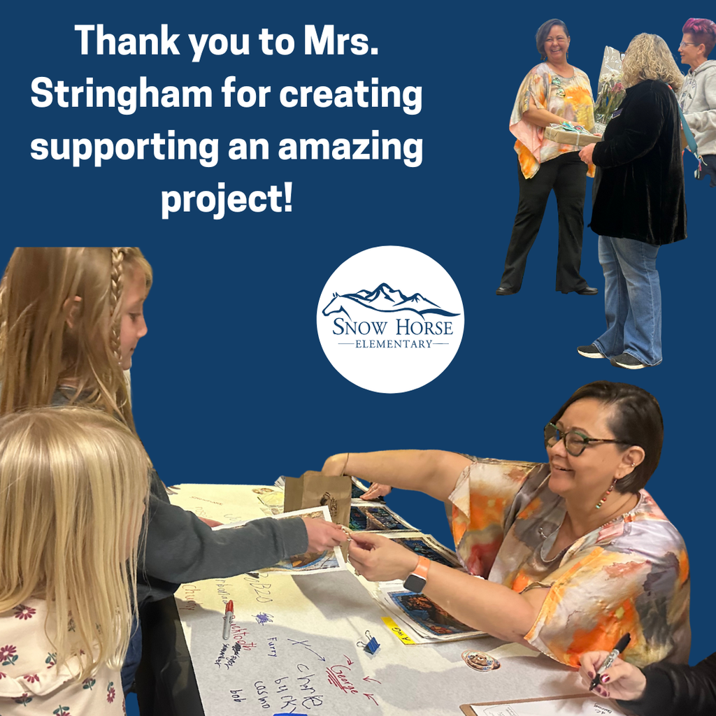 Thank you to Mrs. Stringham for supporting an amazing project!