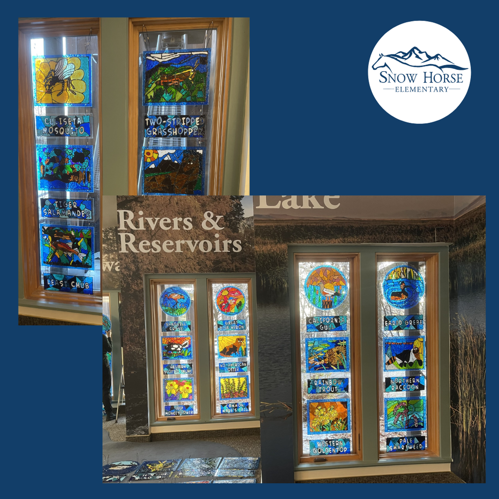 Student display at Ogden Nature Center