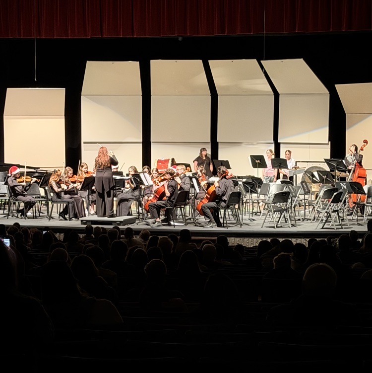 NHS Orchestra