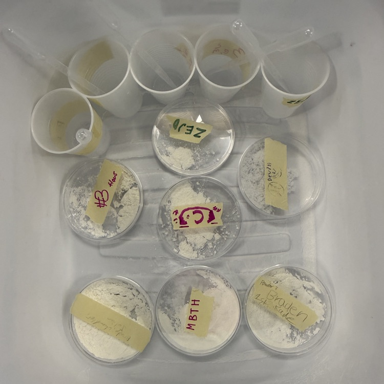 8th Grade Science Highlight 5