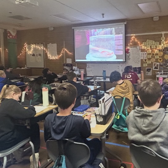 6th graders experimenting with candy canes