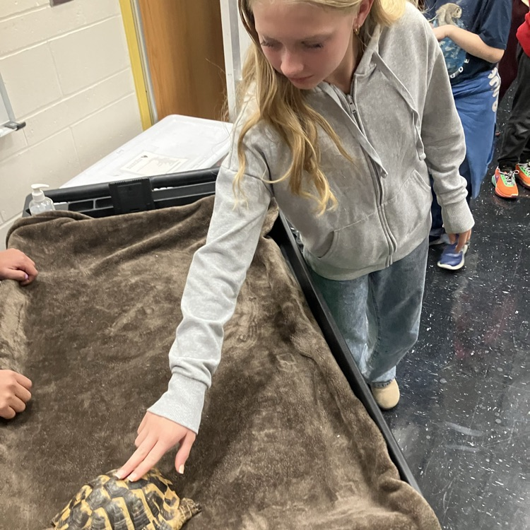 student petting tortoise