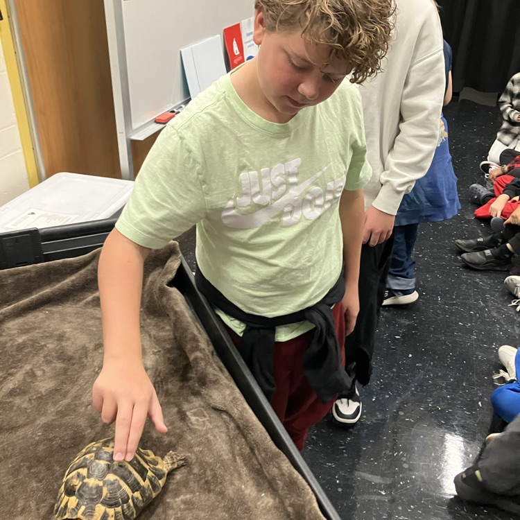 student with tortoise