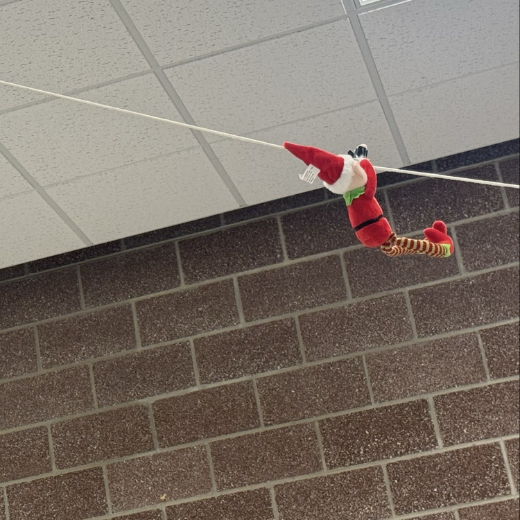 elf on a rope