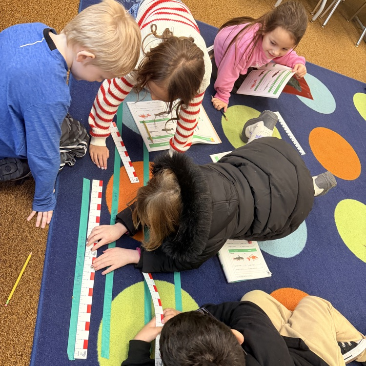 2nd graders learning about measurement 