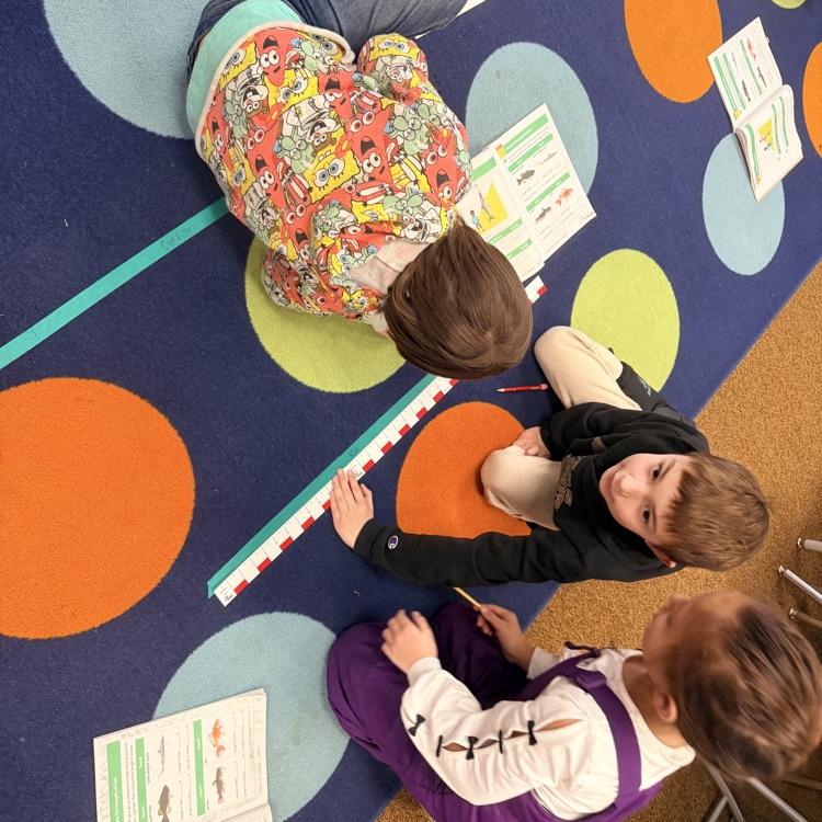 2nd graders learning about measurement 