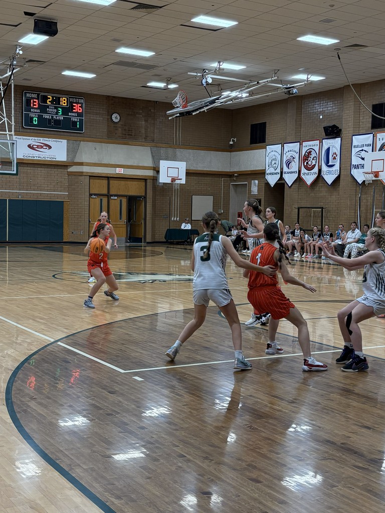 image of a girl getting ready to pass a basketball