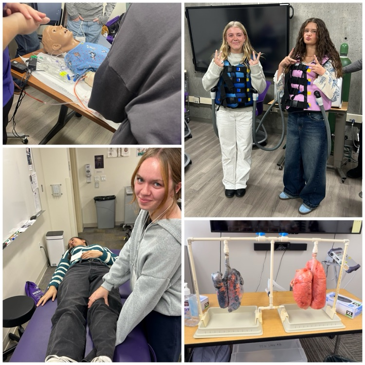 hands on activities on the field trip 