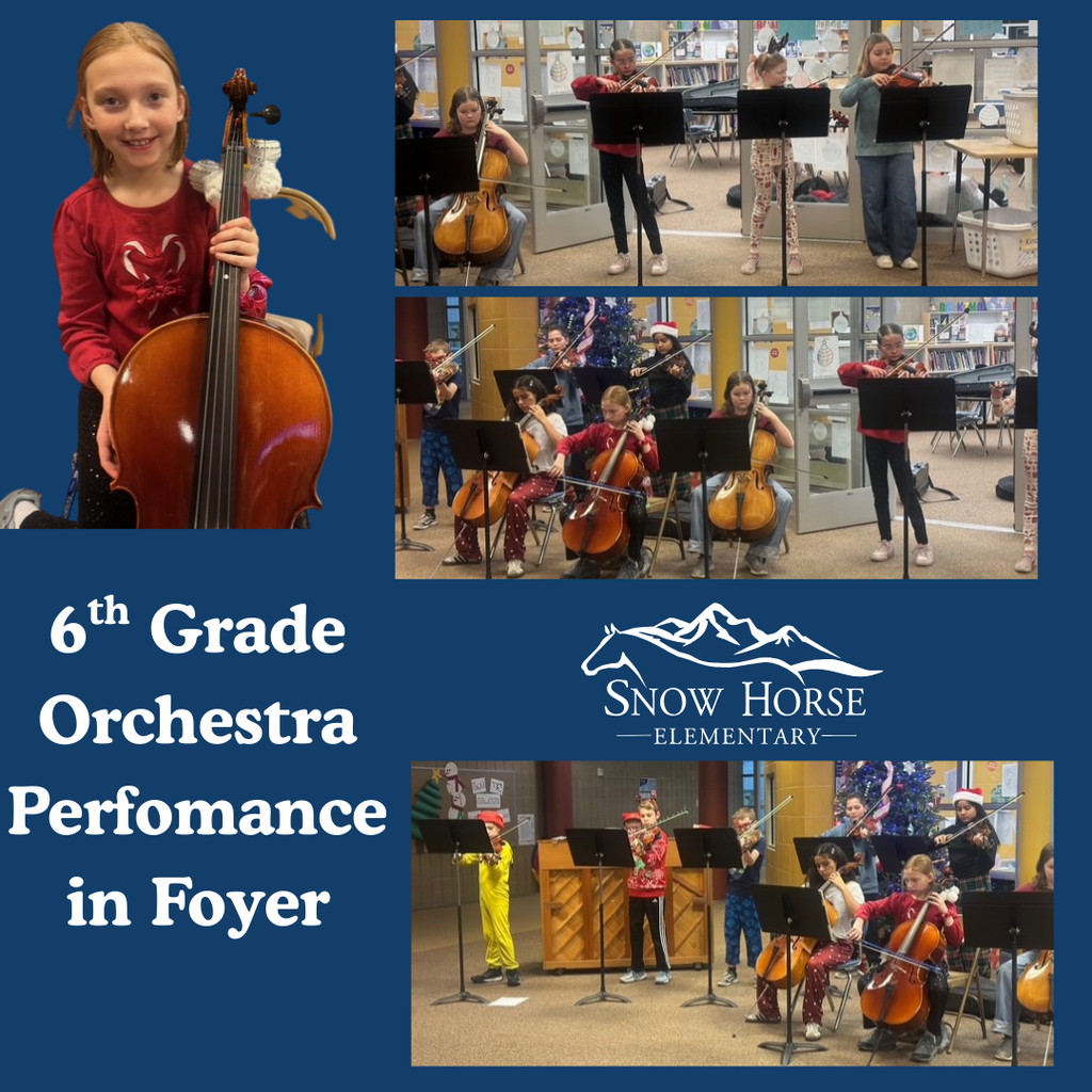 Pictures of students playing orchestra instruments