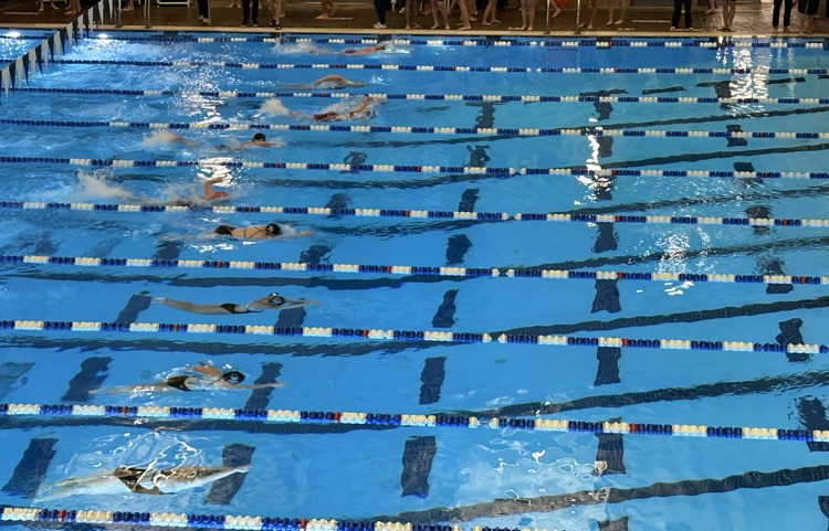 swimmers swimming in the swimming pool