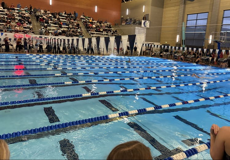 swimmers swimming in the swimming pool