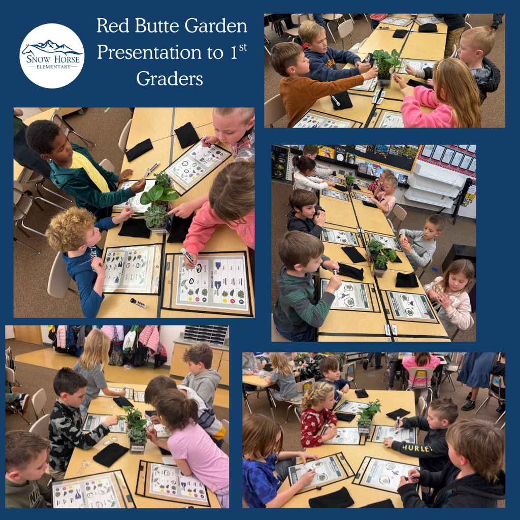 Pictures of students looking at different plants