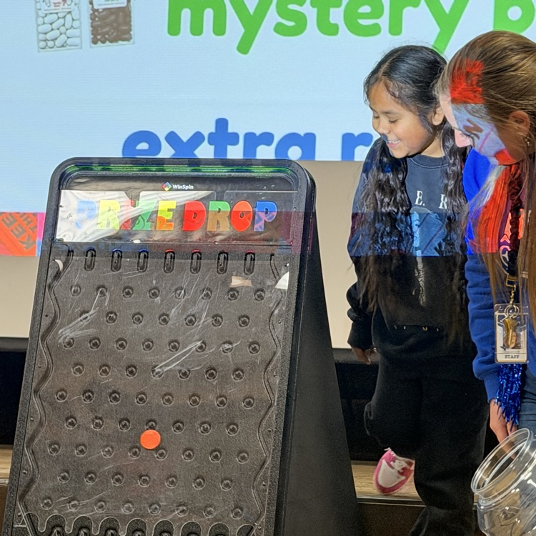 Student playing Plinko