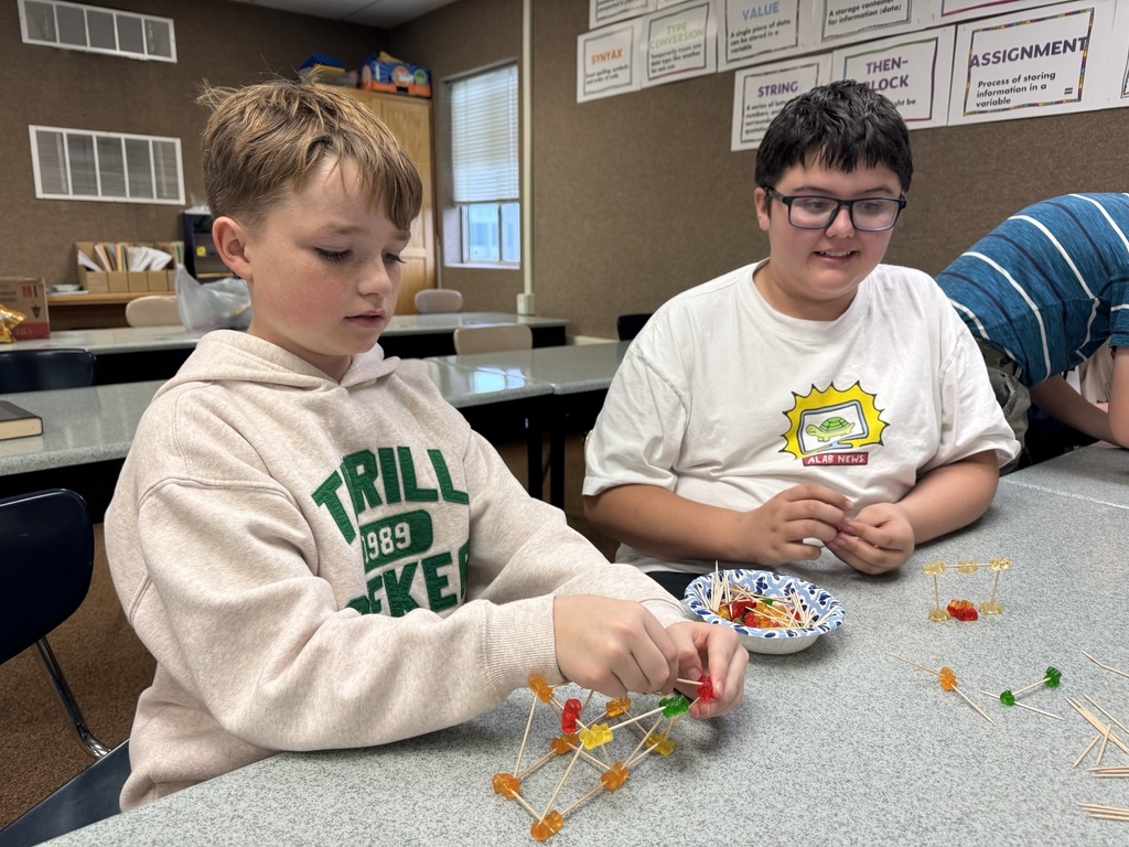 Students making structures with gummy bears and toothpicks