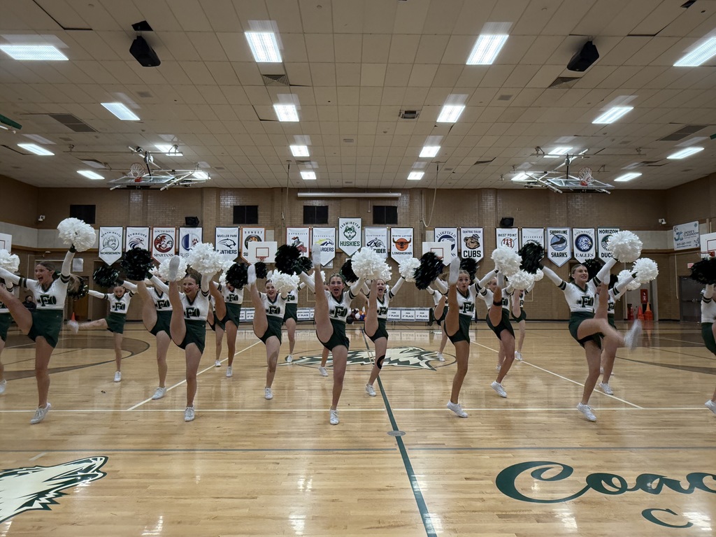 Cheer performing their Pom routine -2
