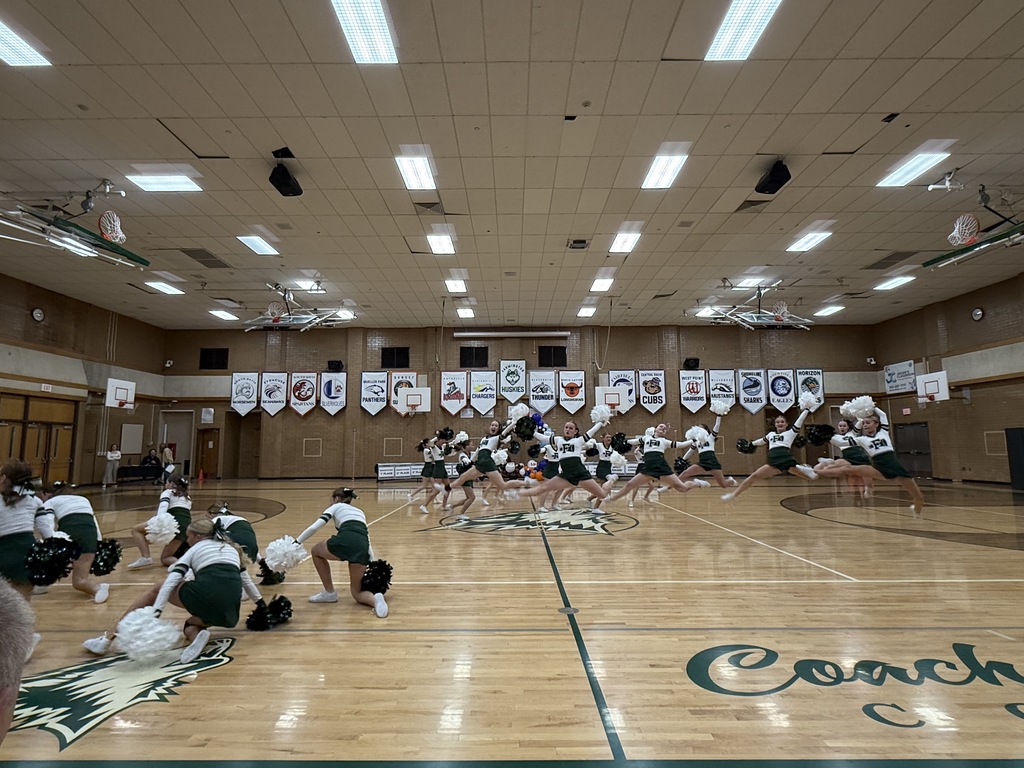 Cheer performing their Pom routine 3