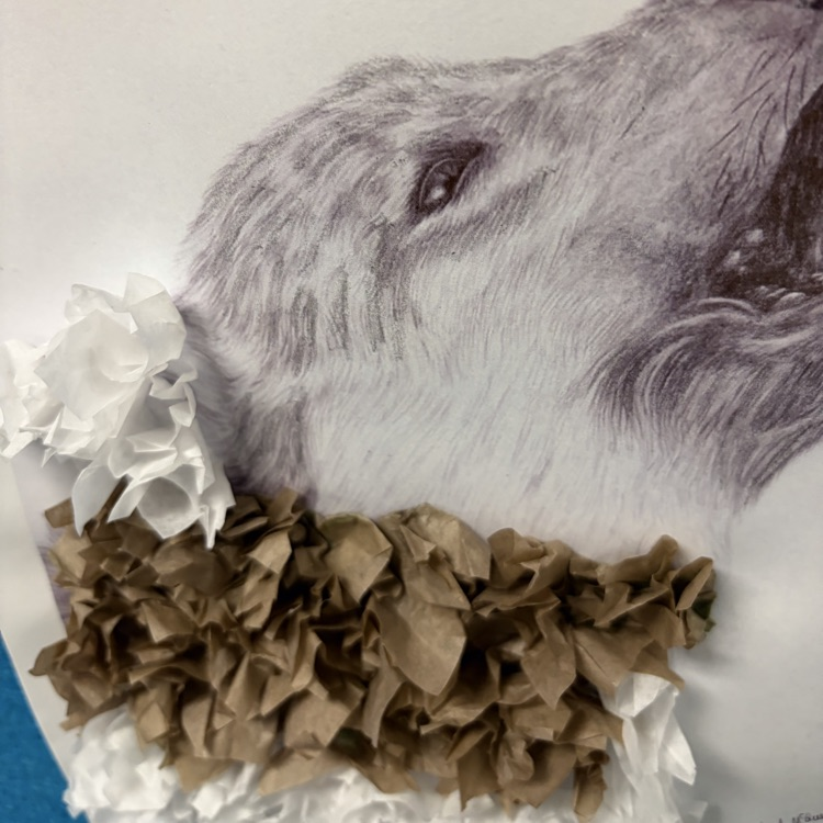 student paper and glue artwork displayed.