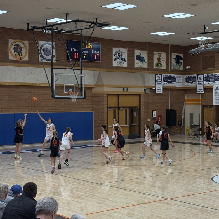 girls basketball game