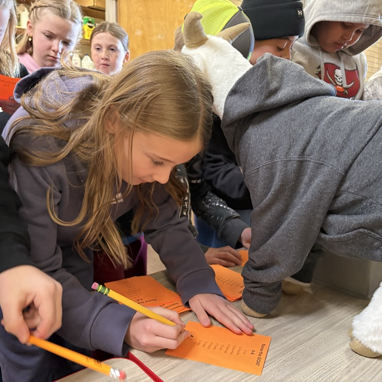 students voting on the name of the goat