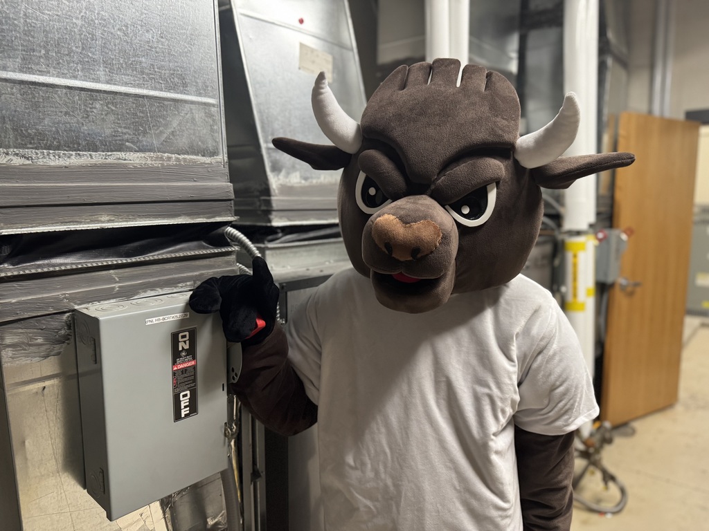 chip in the fan room