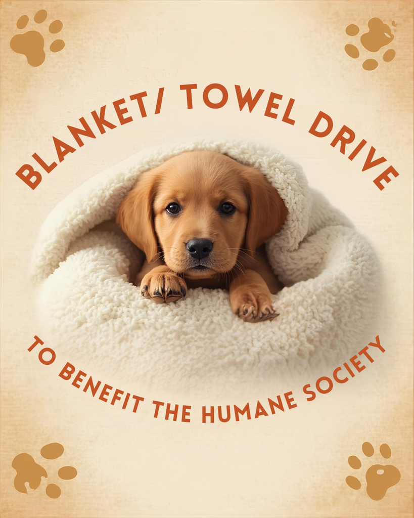 Dog laying on a blanket on a brown background with the words blanket and towel drive