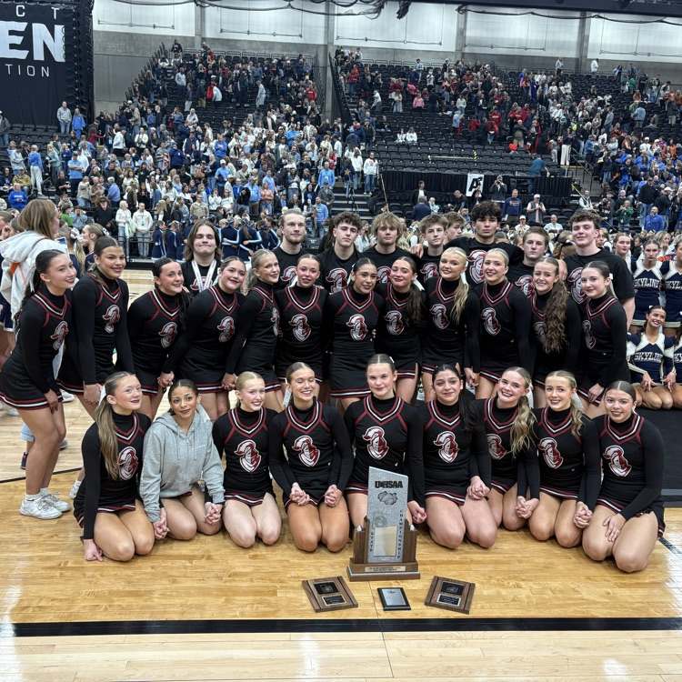 Northridge cheer team