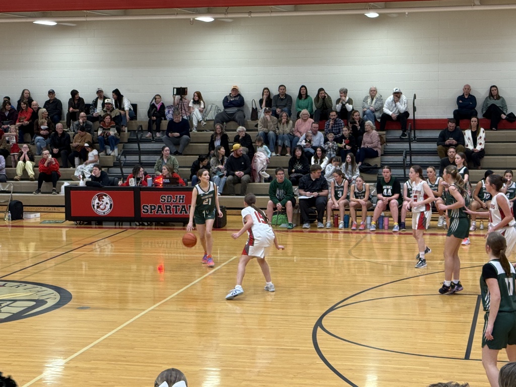Girl dribbling the ball. 